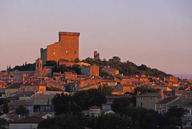 شقة Châteauneuf-du-Pape  في Bienvenue Chez Shiva المظهر الخارجي الصورة